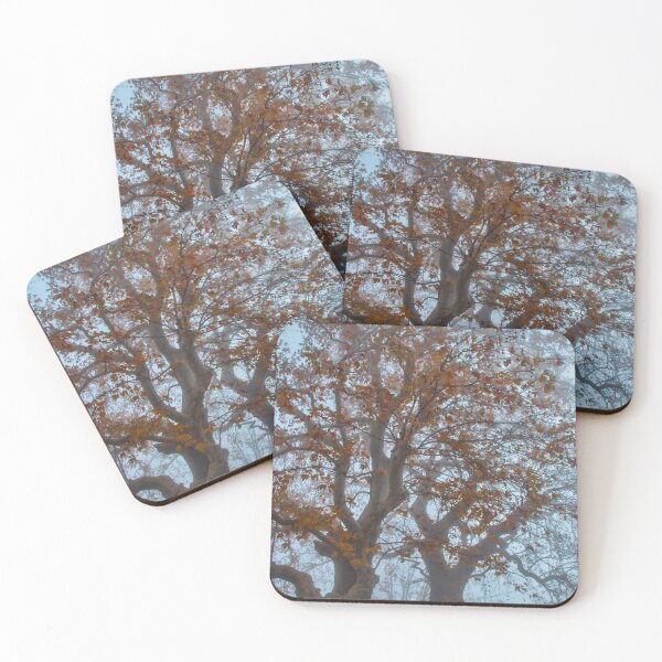 Item preview, When there are two trees together designed and sold by Hercules Milas.