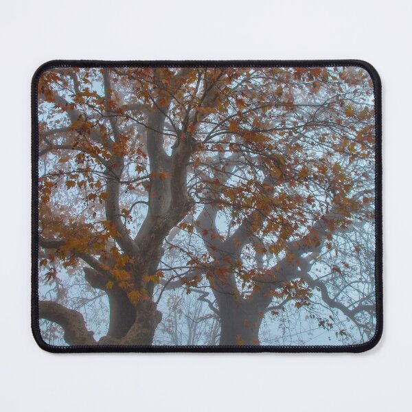 Item preview, When there are two trees together designed and sold by Hercules Milas.