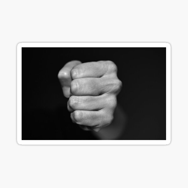 &ldquo;Clenched fist&rdquo; Sticker for Sale by Rashkin | Redbubble