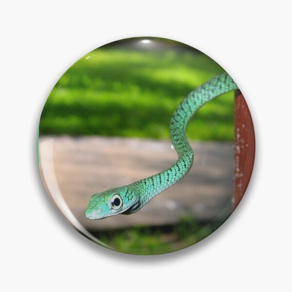Item preview, Snake on a Post designed and sold by David JC.