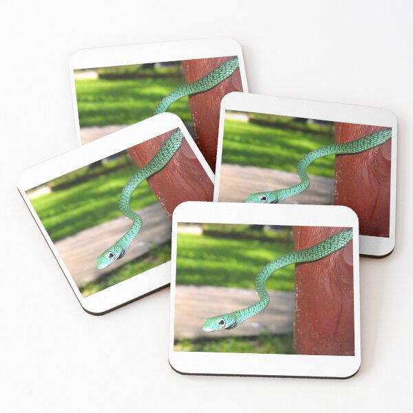 Item preview, Snake on a Post designed and sold by David JC.