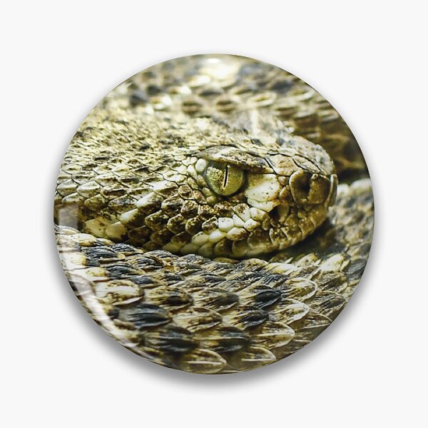 Item preview, Snake Eye designed and sold by TBphotography9.