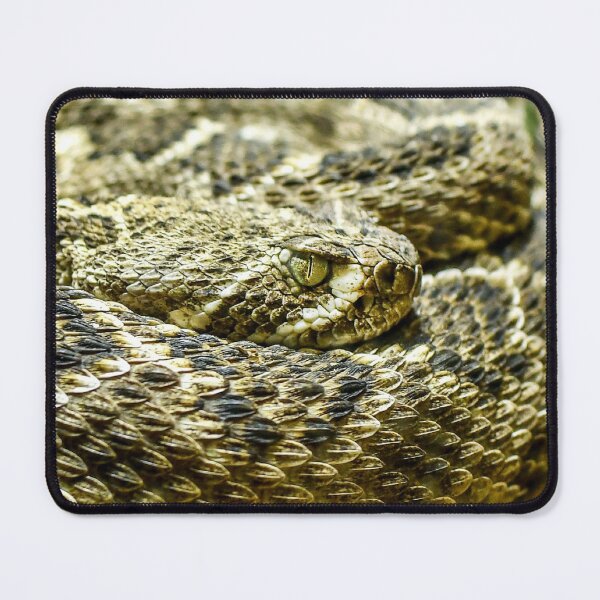 Item preview, Snake Eye designed and sold by TBphotography9.