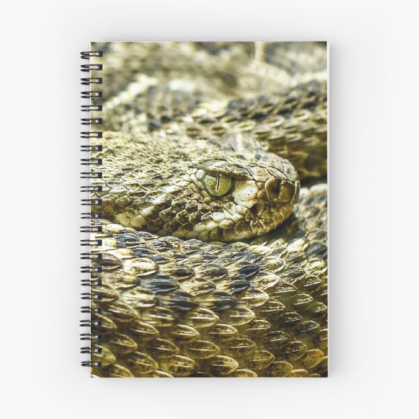 Item preview, Snake Eye designed and sold by TBphotography9.