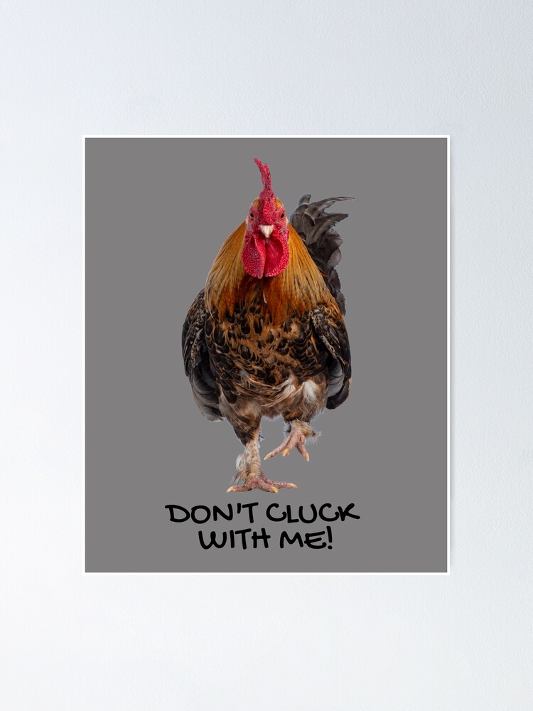 Don't cluck with me! Funny rooster chicken pun.