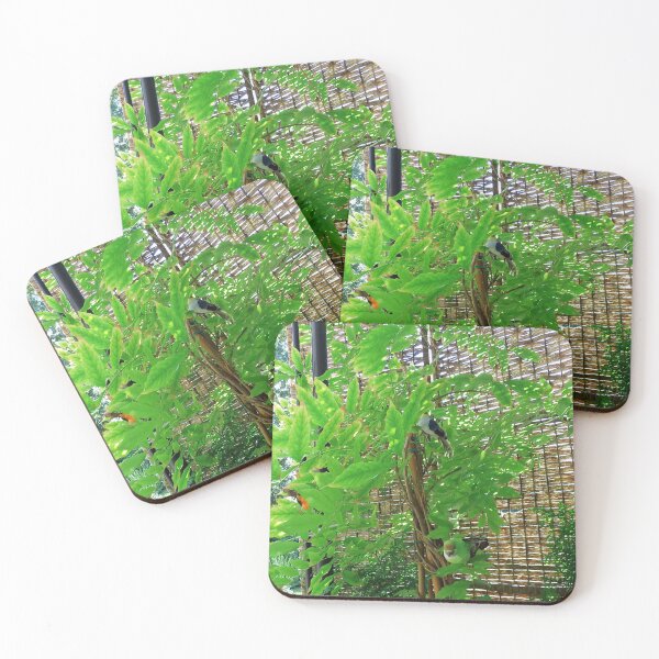 Item preview, Nature on the balcony designed and sold by philbraxton.