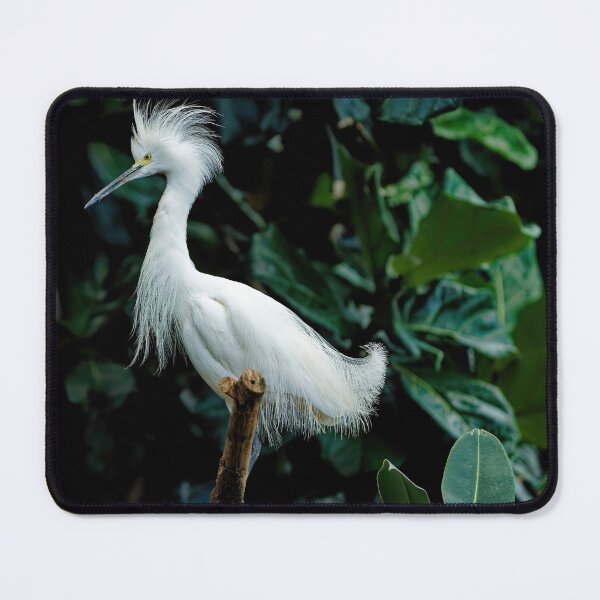 Item preview, Snowy Egret designed and sold by KDartisticeye.
