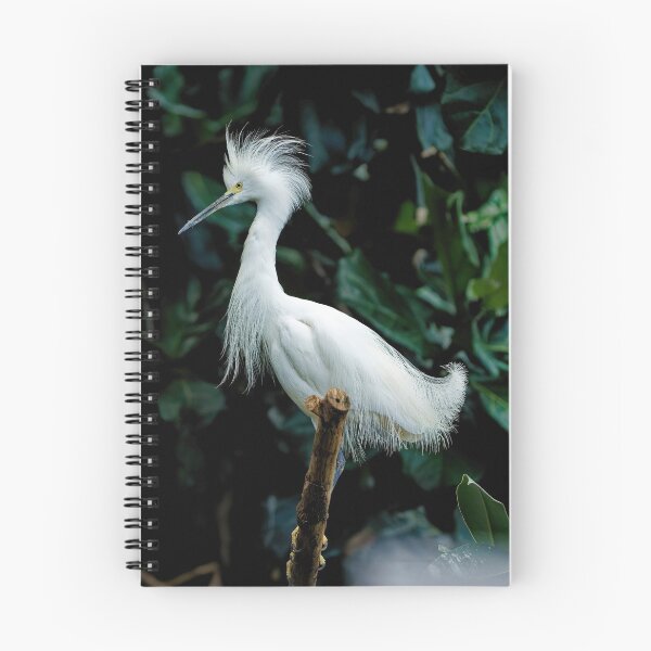 Item preview, Snowy Egret designed and sold by KDartisticeye.