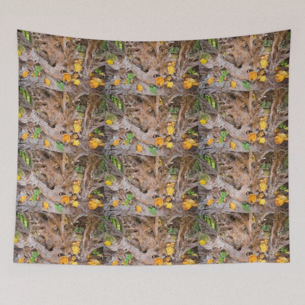 Item preview, Autumn Leaves & Tree Roots designed and sold by Bill Spengler's Photographic Thoughts.