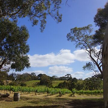 Artwork thumbnail, Blue Sky and Fluffy clouds in the Vineyard by Adelaide artist Avril Thomas at Magpie Springs by MagpieSprings