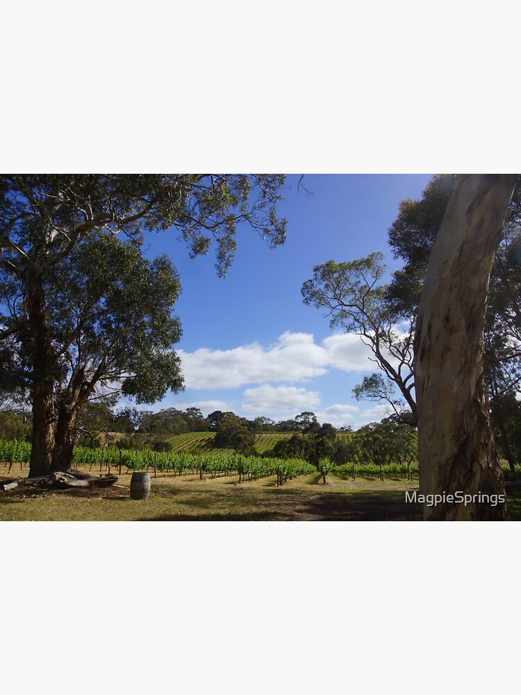 Thumbnail 3 of 3, Sticker, Blue Sky and Fluffy clouds in the Vineyard by Adelaide artist Avril Thomas at Magpie Springs designed and sold by MagpieSprings.