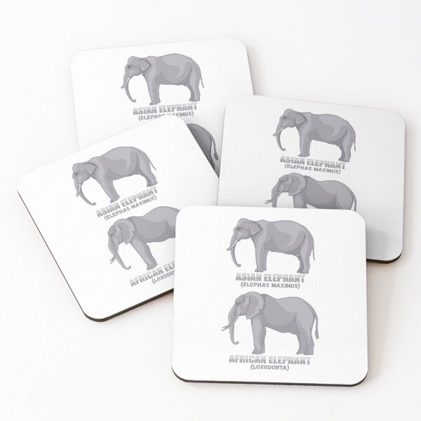 Item preview, Asian Indian Elephant and African Elephants Compare Diagram Gift designed and sold by Maljonic.