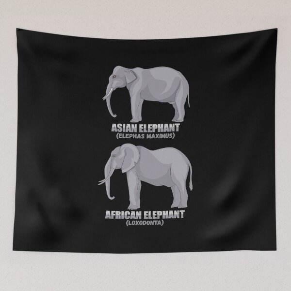 Item preview, Asian Indian Elephant and African Elephants Compare Diagram Gift designed and sold by Maljonic.