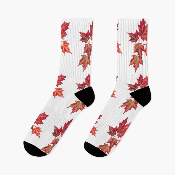 Item preview, Autumn Leaves Vintage Illustration by Mary Vaux Walcott designed and sold by Happy-Trails.