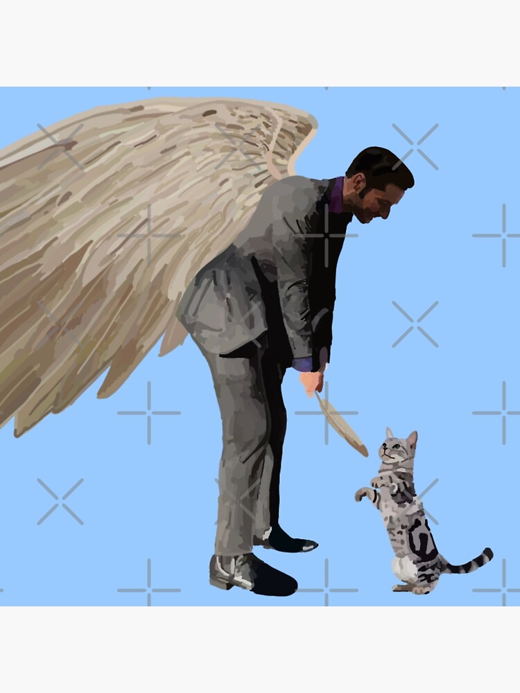 Lucifer Morningstar playing with a cat