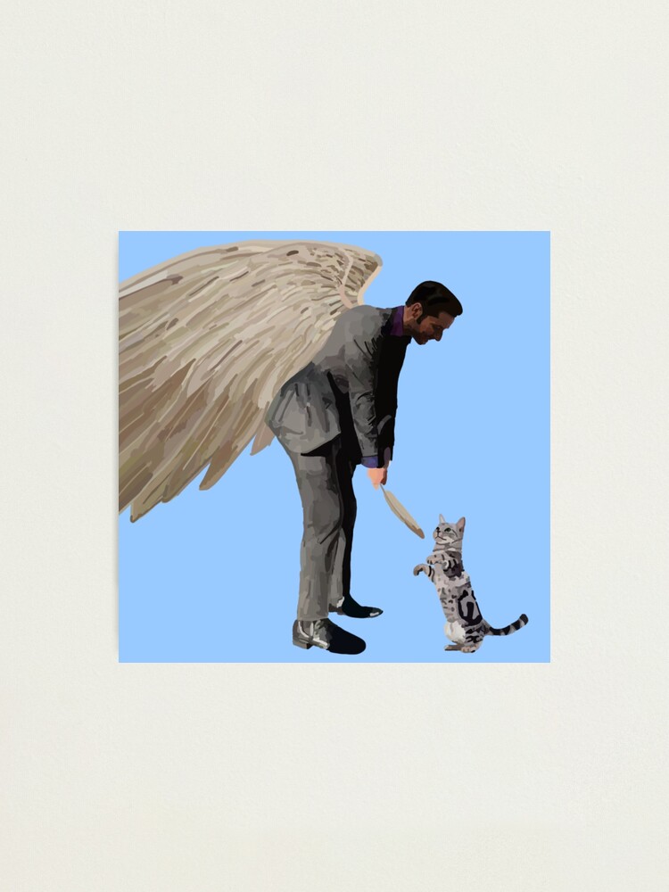 Lucifer Morningstar playing with a cat