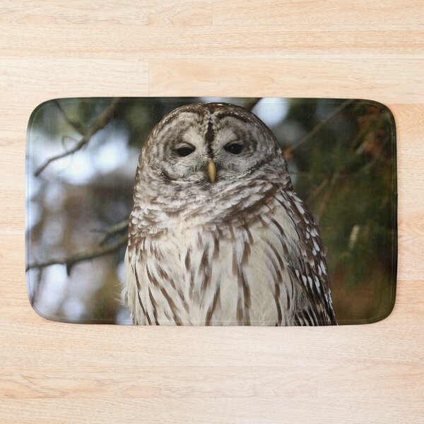 Item preview, Barred owl designed and sold by locustgirl.