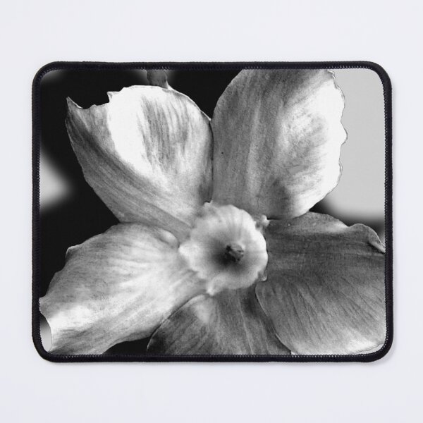 Item preview, Dipladenia in Shadow designed and sold by Rosemary Sobiera.