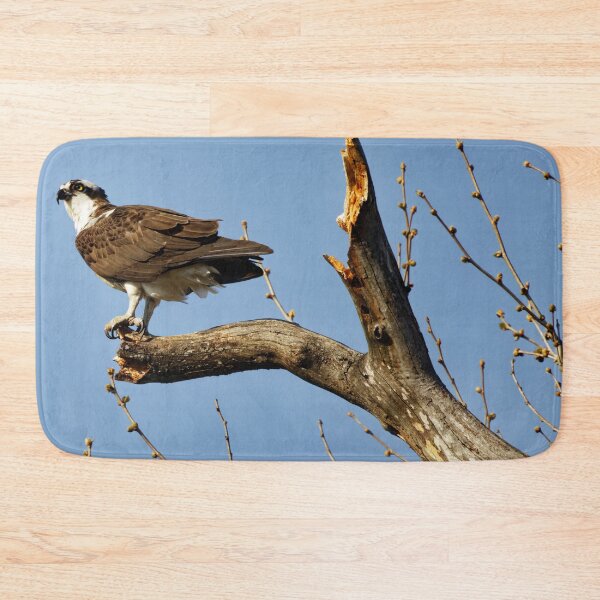 Item preview, Osprey in tree designed and sold by KDartisticeye.