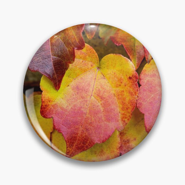Item preview, Red Boston Ivy Leaves in Autumn designed and sold by Andreea Eva Herczegh.