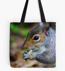 close up of a squirrel Tote Bag
