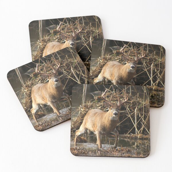 Item preview, Whitetail Buck designed and sold by PaulKPhoto.