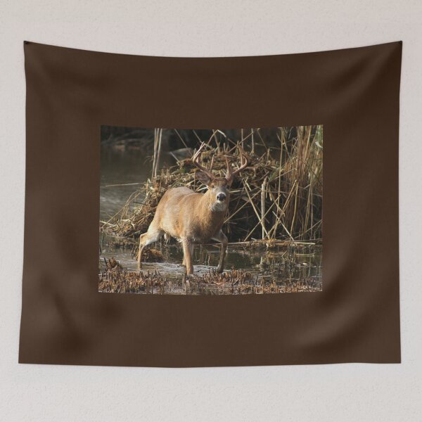 Item preview, Whitetail Buck designed and sold by PaulKPhoto.