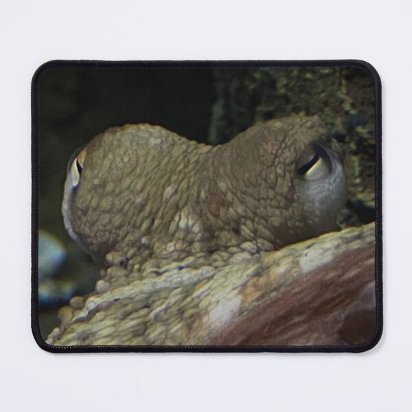 Item preview, What you looking at ?  designed and sold by lol1310.
