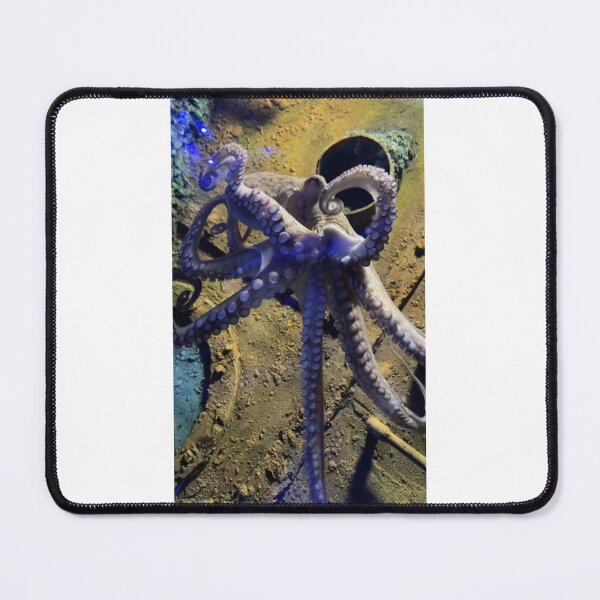 Item preview, Release the karken  designed and sold by lol1310.