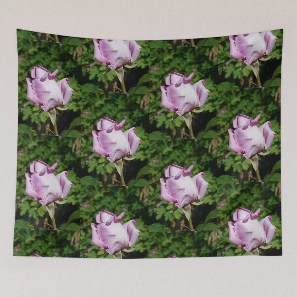 Item preview, Lilac Rose Bud.. photograph designed and sold by LoneAngel.