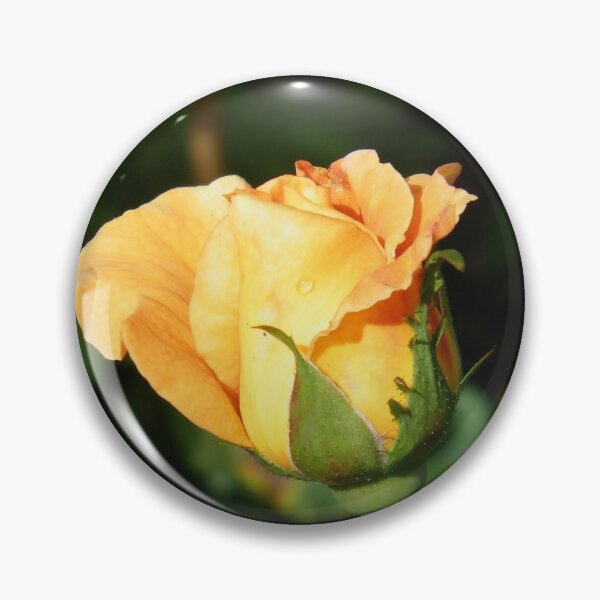Item preview, Golden Rose Bud. photograph  designed and sold by LoneAngel.