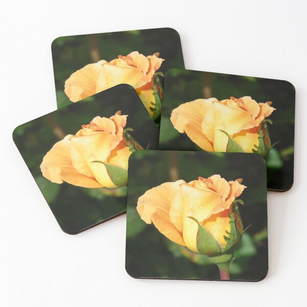 Item preview, Golden Rose Bud. photograph  designed and sold by LoneAngel.