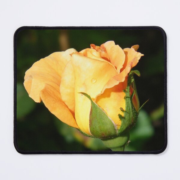 Item preview, Golden Rose Bud. photograph  designed and sold by LoneAngel.