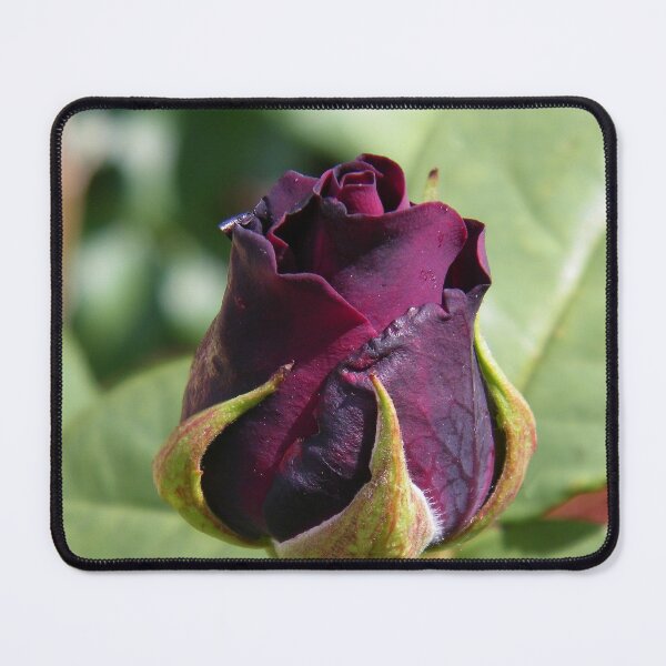 Item preview, Dark Red Rose Bud, photograph  designed and sold by LoneAngel.