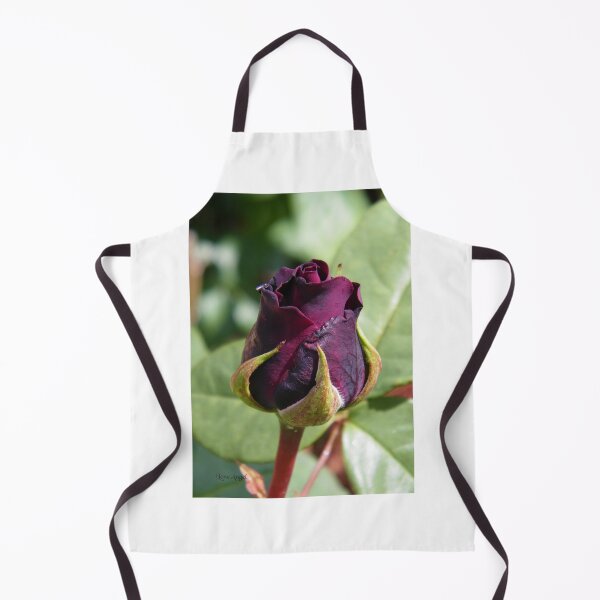 Item preview, Dark Red Rose Bud, photograph designed and sold by LoneAngel.