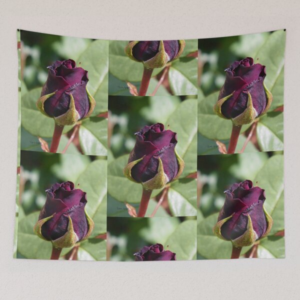Item preview, Dark Red Rose Bud, photograph  designed and sold by LoneAngel.