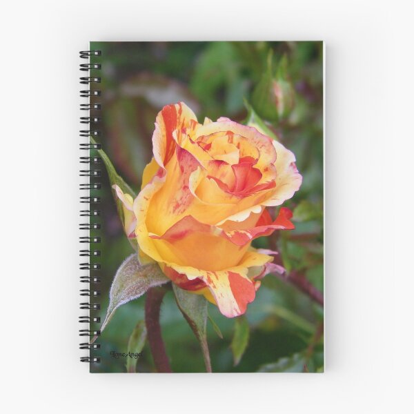 Item preview, Rose Bud .. Oranges and Lemons designed and sold by LoneAngel.