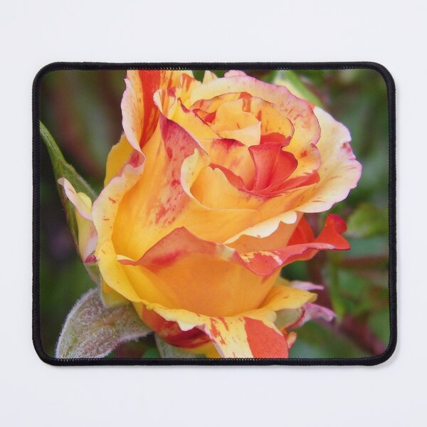 Item preview, Rose Bud .. Oranges and Lemons designed and sold by LoneAngel.
