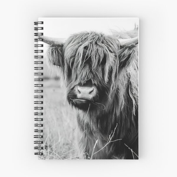 Item preview, Young Highland Cow designed and sold by wildtribe.