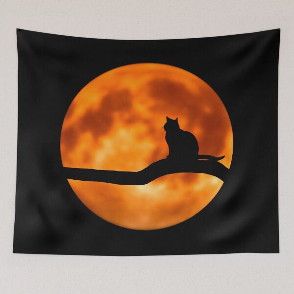 Item preview, cat in moonlight designed and sold by paulossilva.