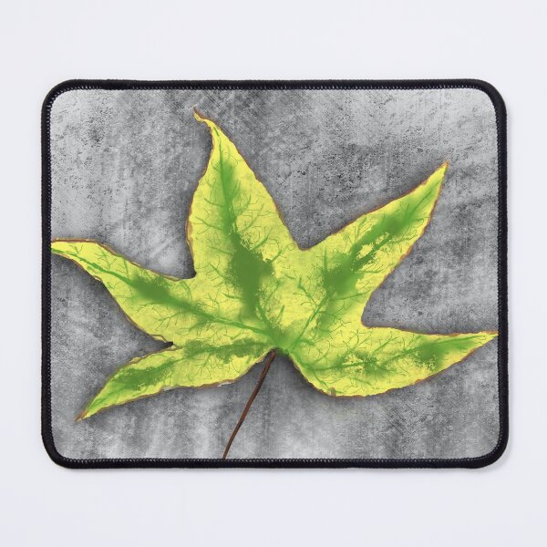 Item preview, Leaf on concrete designed and sold by SteveDenham.