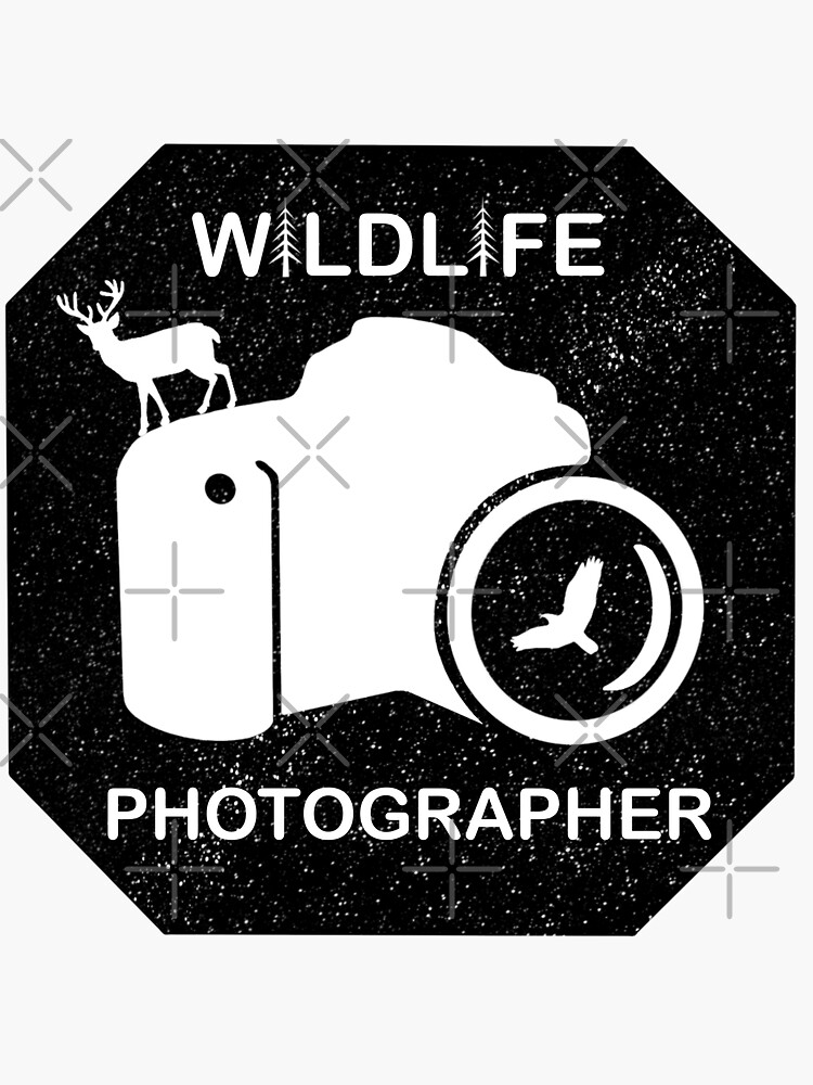 Create his very first logo for wildlife photographer nick dale | Logo  design contest | 99designs