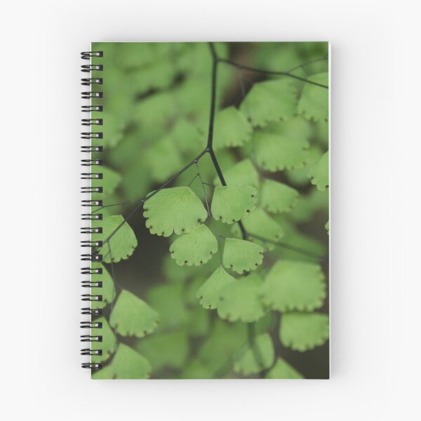 Item preview, Maidenhair fern designed and sold by AnnaKT.