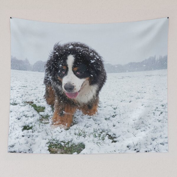 Item preview, dog walk in the snow designed and sold by marwan elsaeed.