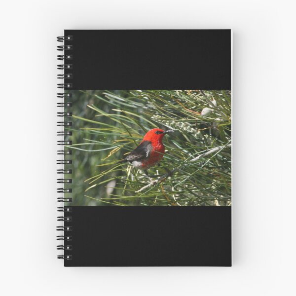 Item preview, Scarlet Honeyeater designed and sold by AnnaKT.