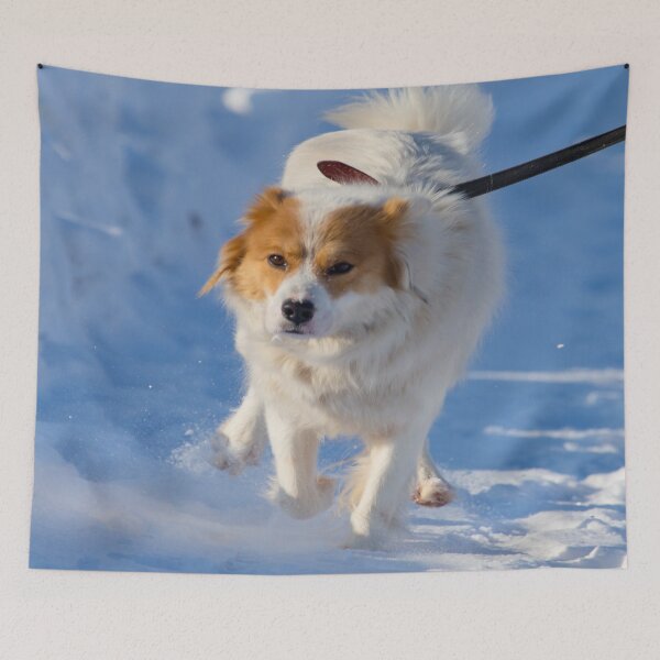 Item preview, dog walk in the snow designed and sold by marwan elsaeed.