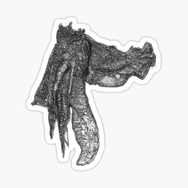 Mathew the Giant Cuttlefish  Sticker