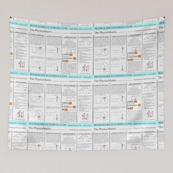 Item preview, Centripetal Force and Spring Systems, The PhysicsMatrix at Redbubble, Winter 2021 designed and sold by Mark Stansberry.