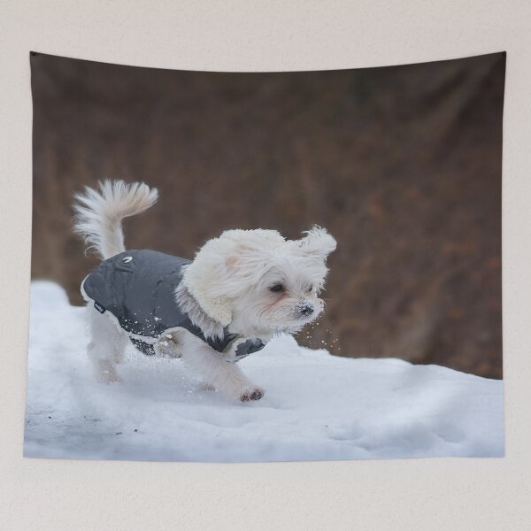 Item preview, dog walk in the snow designed and sold by marwan elsaeed.