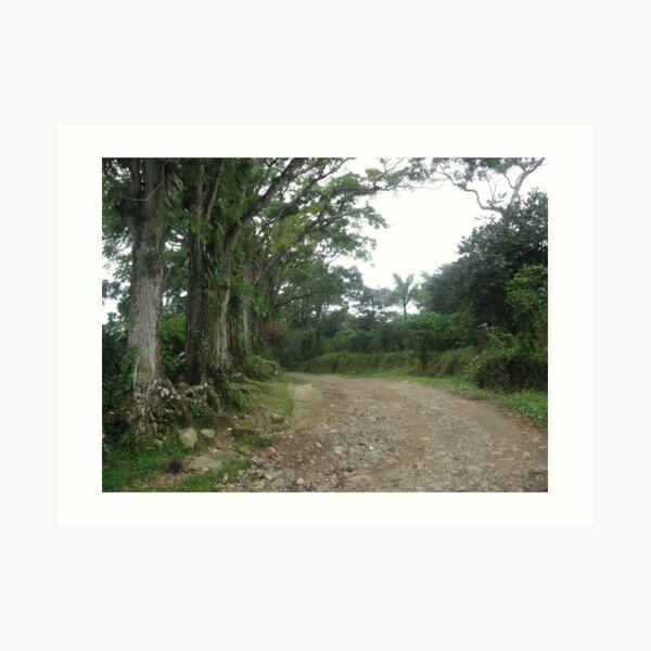 Mountain Road in Chiapas, MX Art Print